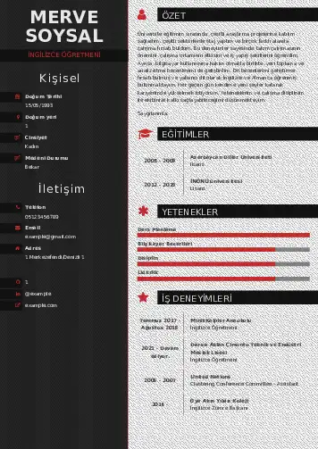 Yabancı Dil Öğretmeni Cv Örnekleri cv indir